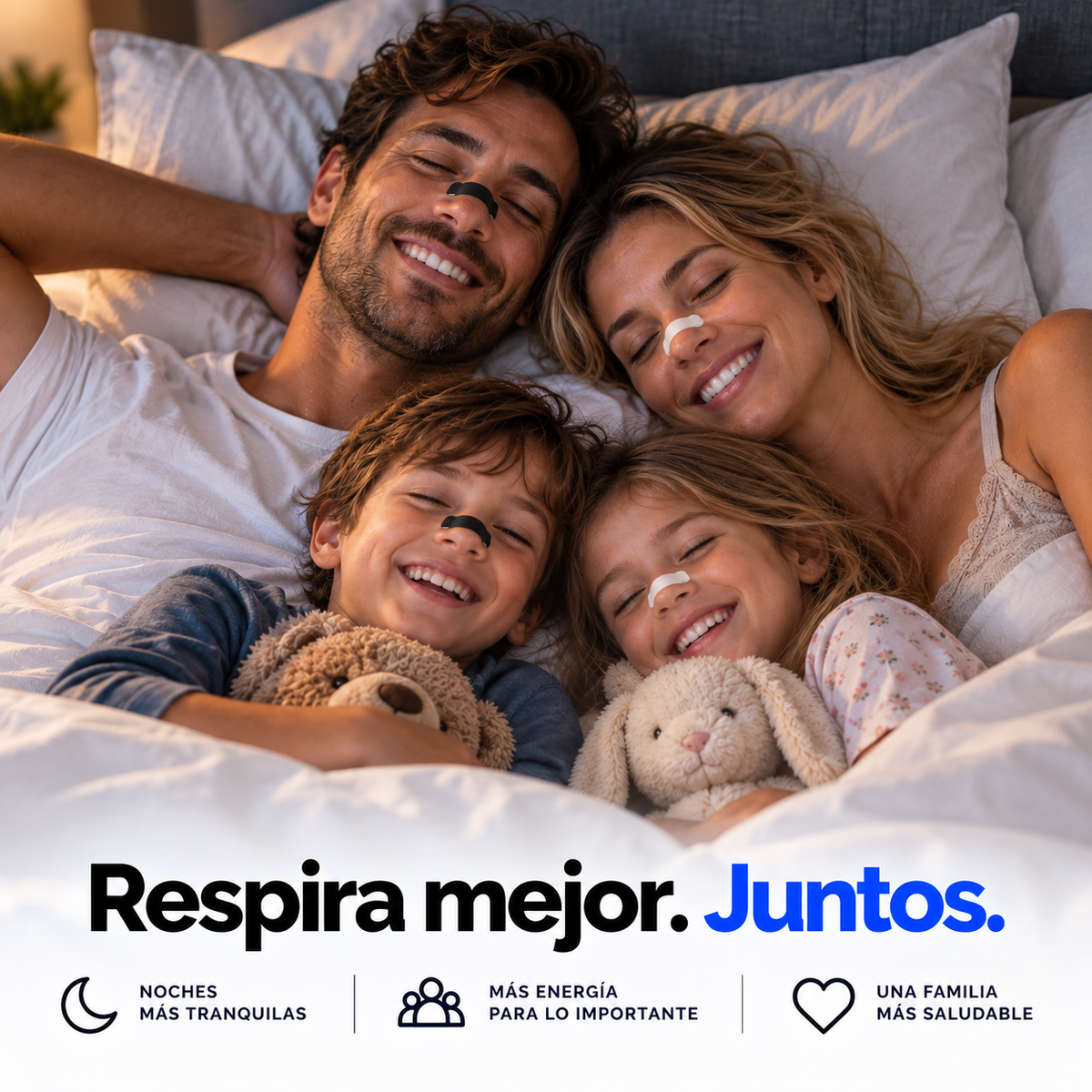 Sistema Magnético Noomxy