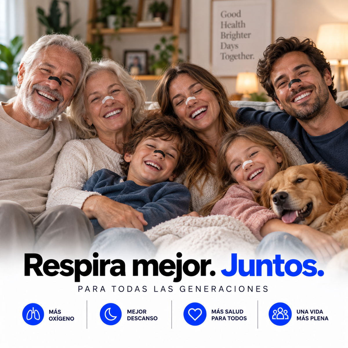 Recambios Magnéticos Noomxy